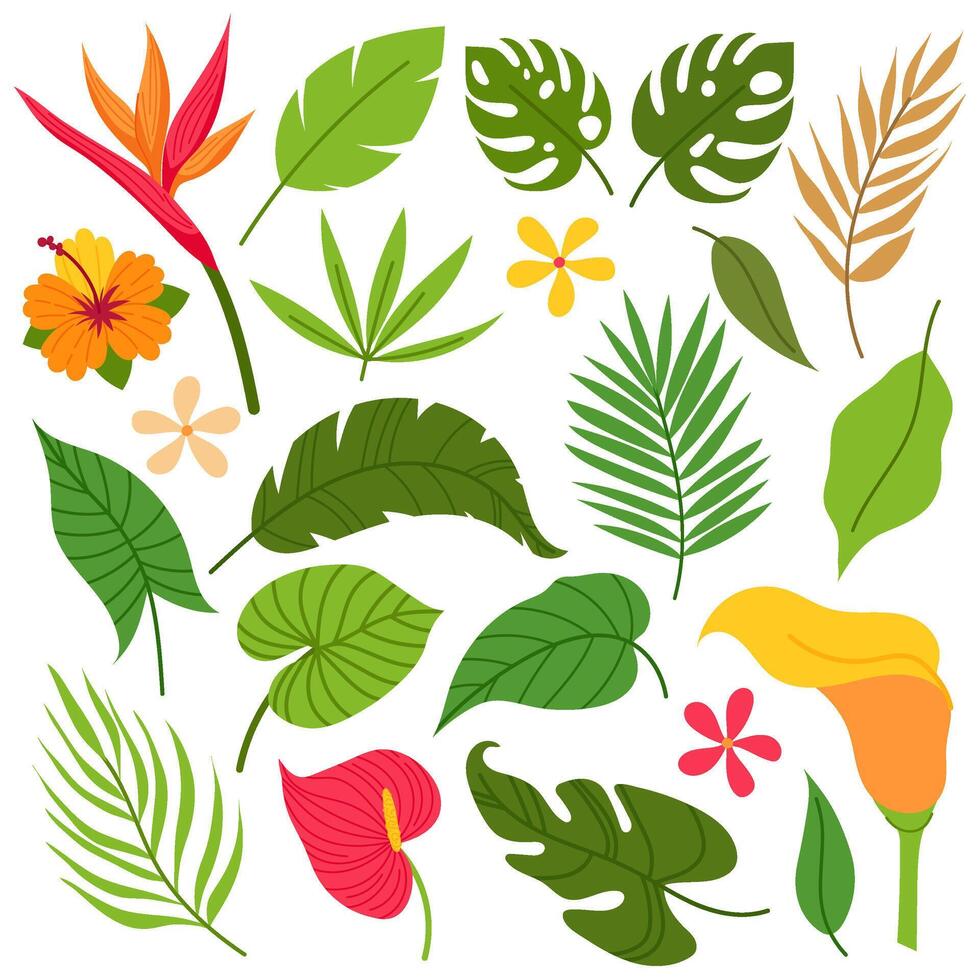 conjunto de tropical plantas en plano estilo. tropical hojas ramas y flores verano botánica. vector