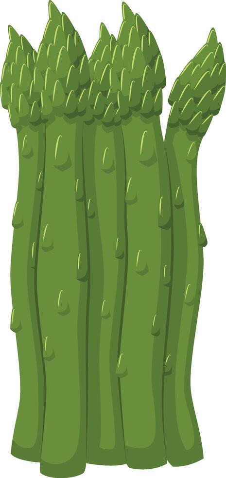 illustration of a funny asparagus in cartoon style. vector