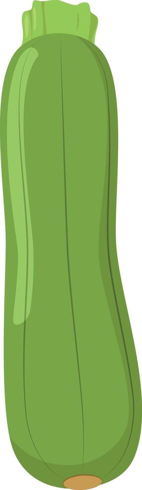 illustration of a funny zucchini in cartoon style. vector