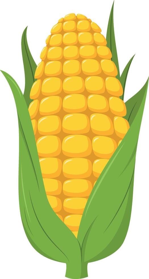 illustration of a funny corncob in cartoon style. vector