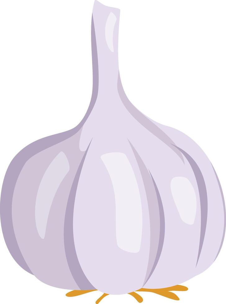 illustration of a funny garlic in cartoon style. vector