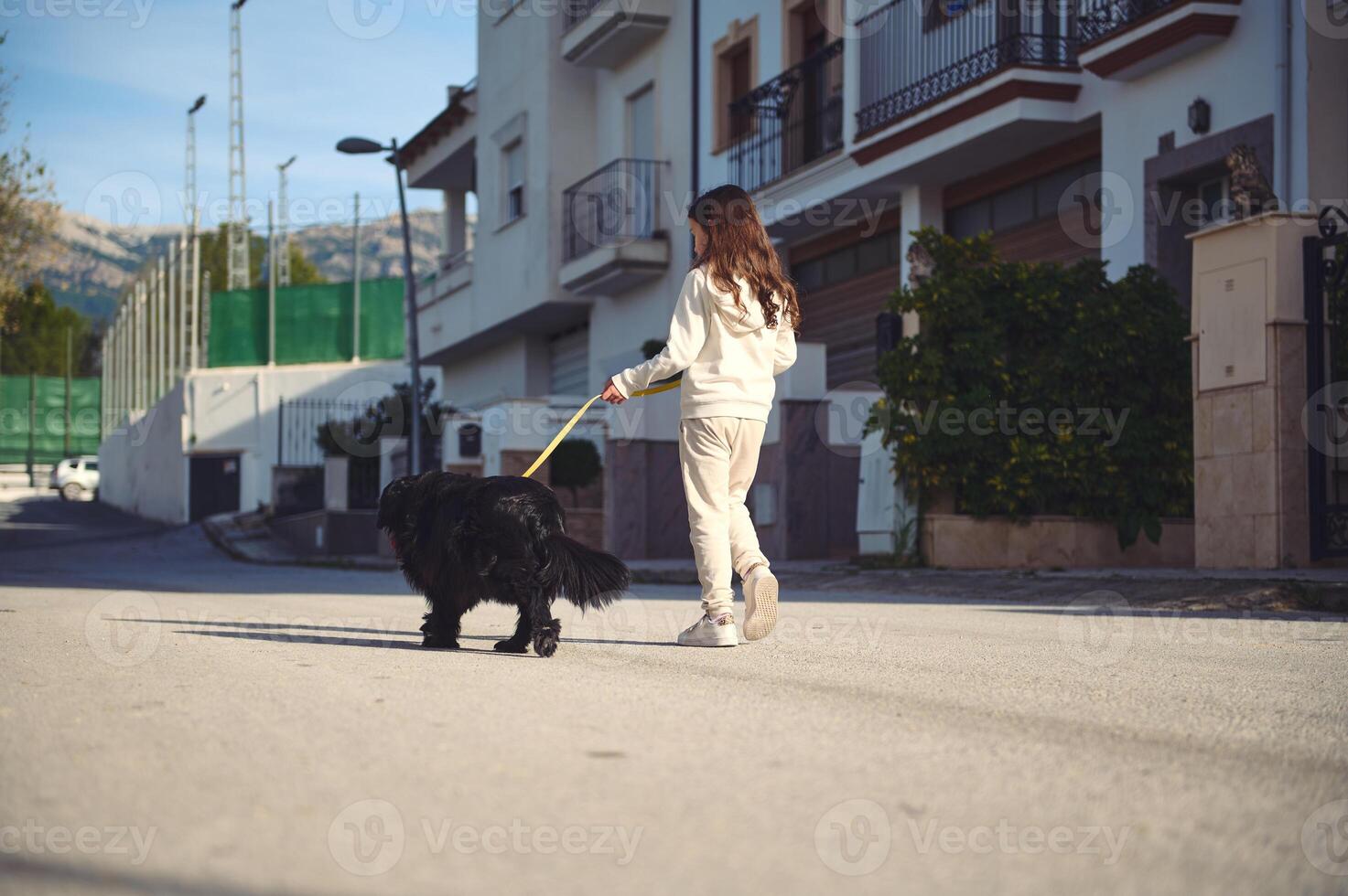 Little child girl enjoying a walk with her cocker spaniel dog outdoors photo