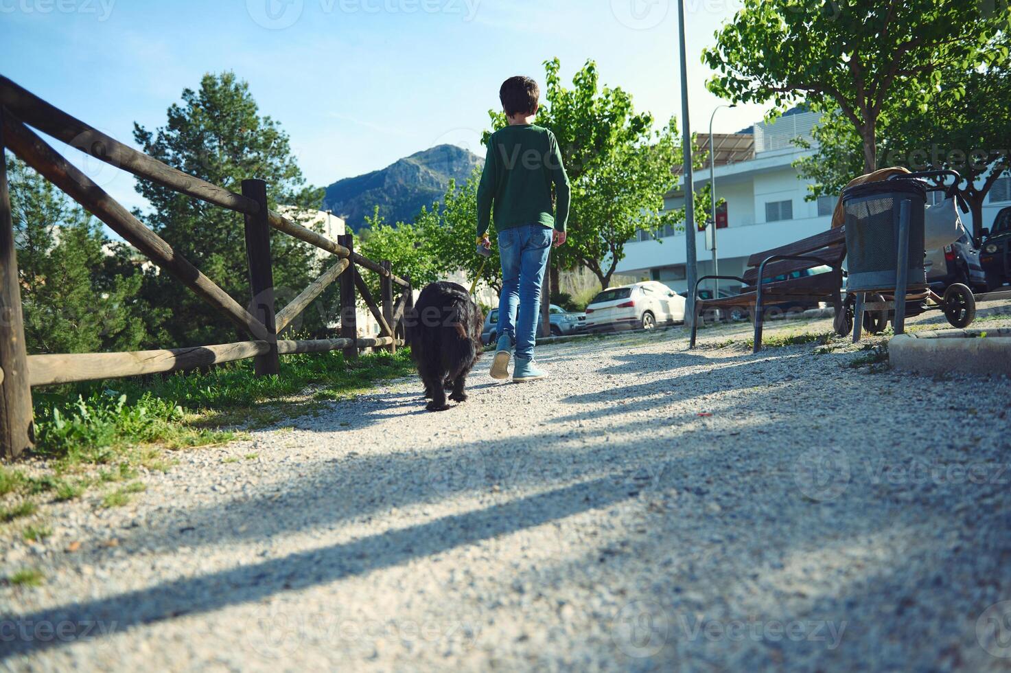 Rear view of child boy walking a dog outdoors. School age boy spending time with his domestic pet on the nature. People and animals concept. photo