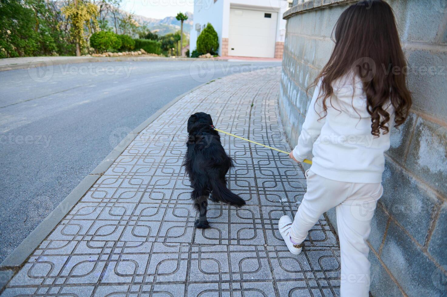 Rear view little girl walking her dog on the street. Elementary age kid spending time with her pedigree cocker spaniel on leash. Childhood. Domestic animals. Playing pets concept photo