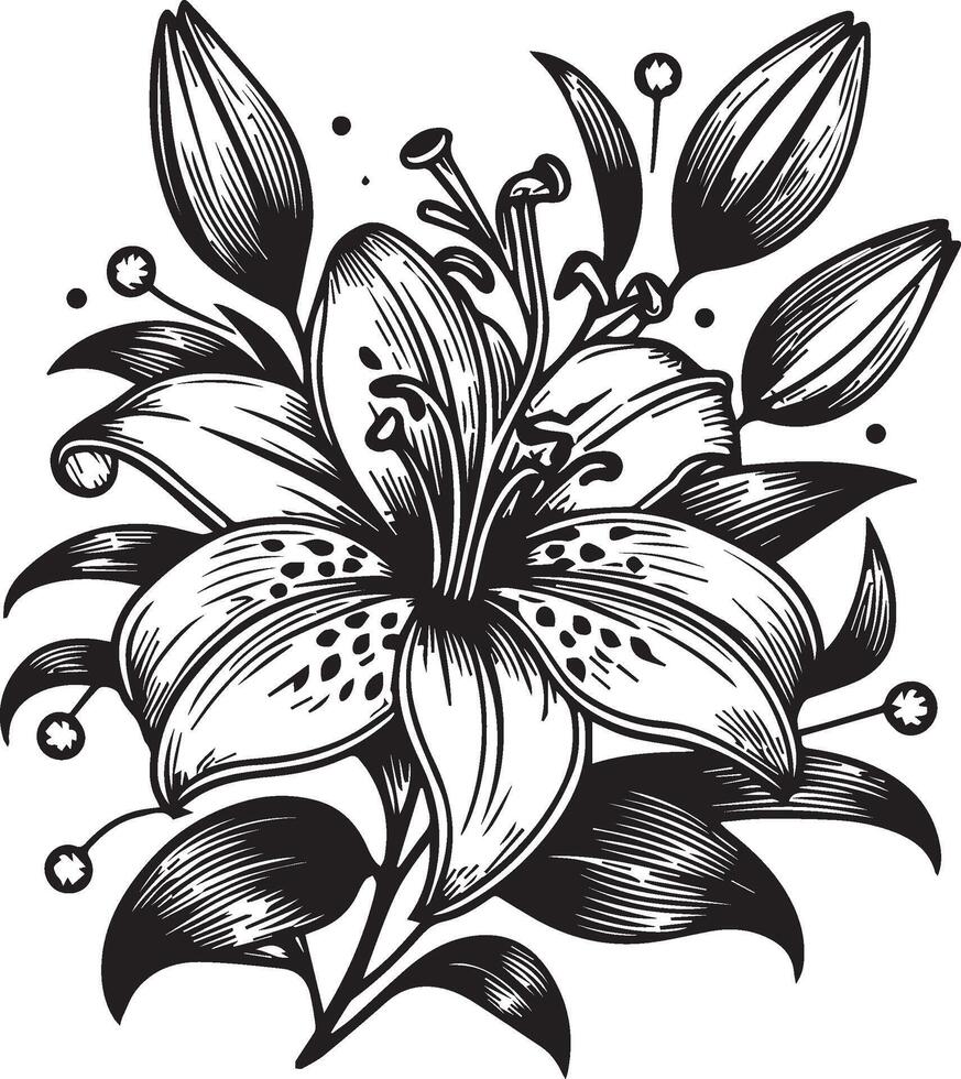 botanical lily of the valley illustration lily of the valley flower and leaf drawing illustration with line art on white backgrounds, vector