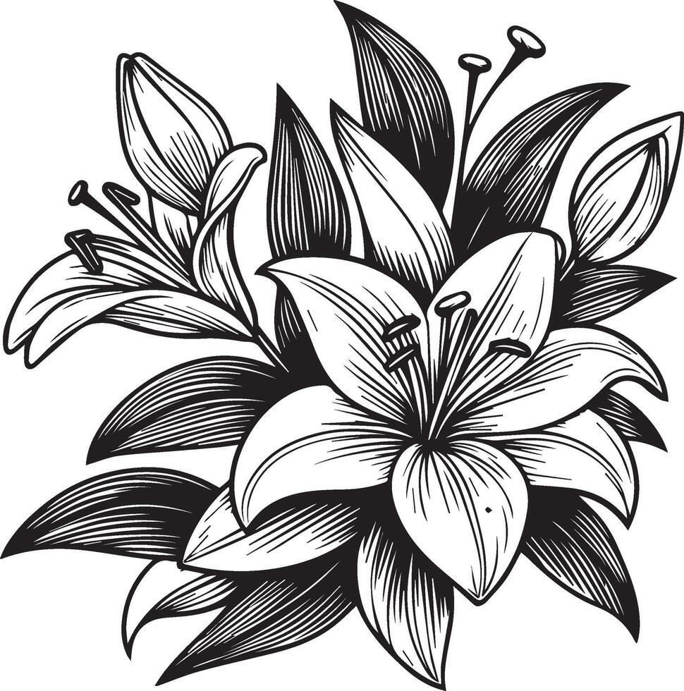 Sketch of Floral Botany Collection, Lily of the Valley flower drawings. Black and white with line art on white backgrounds. Hand Drawn Botanical lily of the valley Illustrations vector