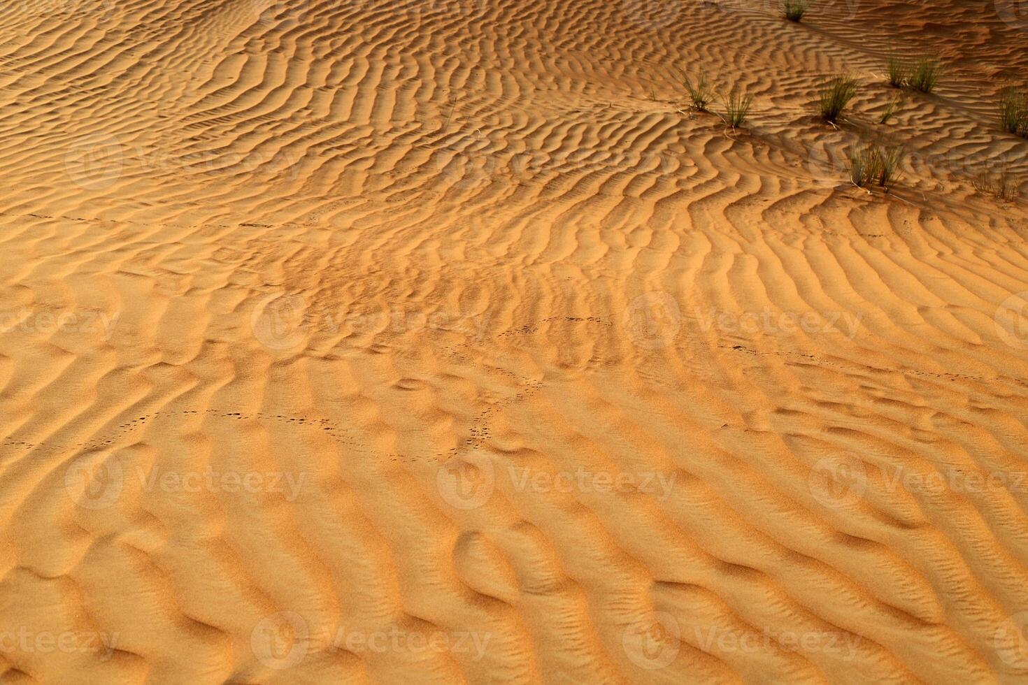 The Judean Desert in the Middle East, located in Israel and the West Bank. photo
