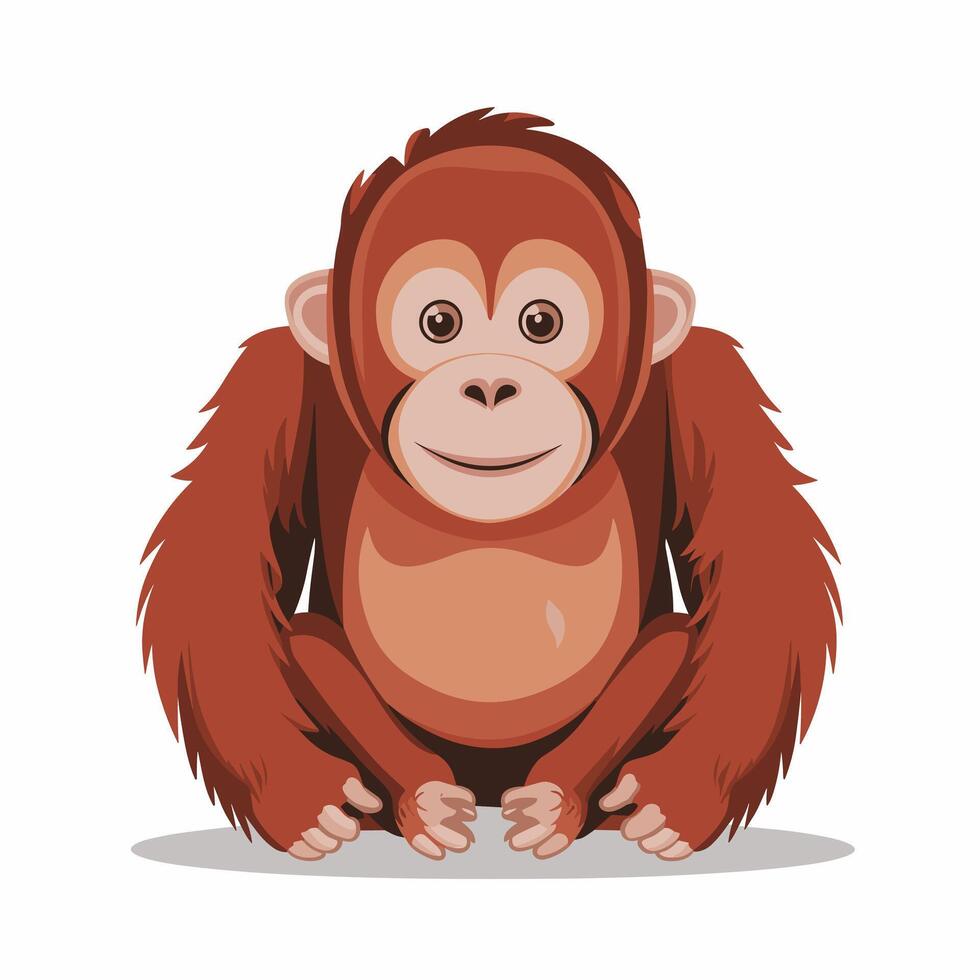 Orangutan illustration on White Background vector