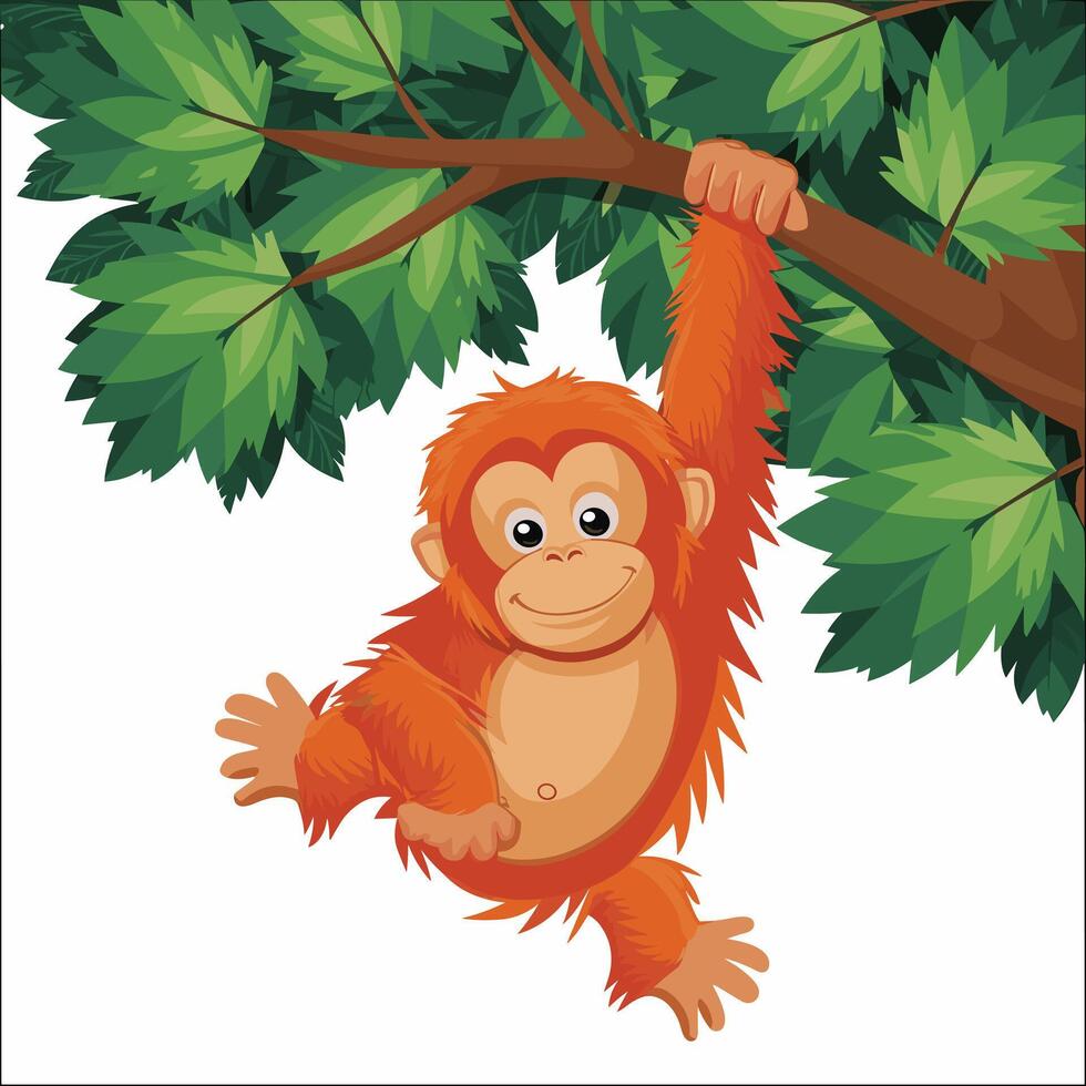 Orangutan illustration on White Background vector