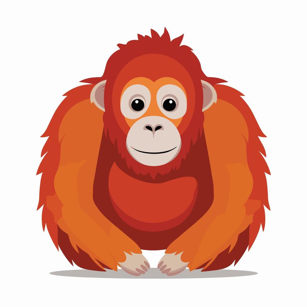 Orangutan illustration on White Background vector