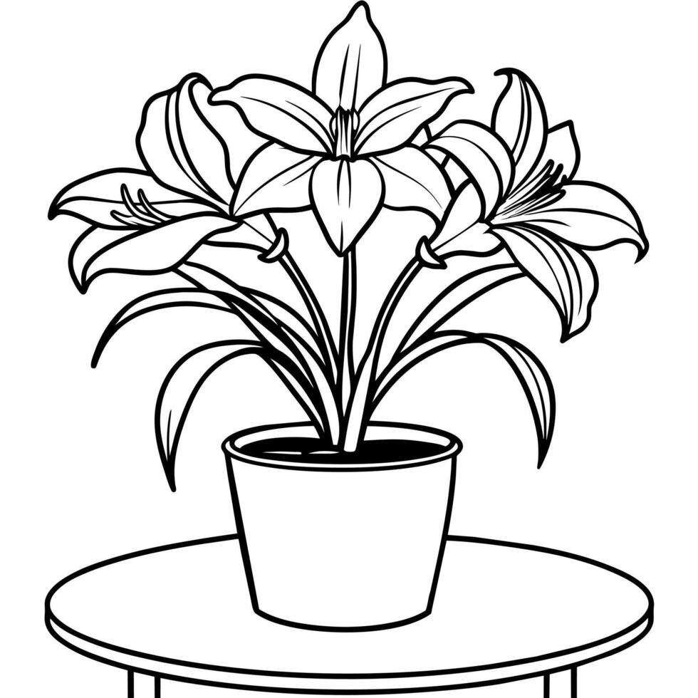 Amaryllis Flower outline illustration coloring book page design, Amaryllis Flower black and white line art drawing coloring book pages for children and adults vector