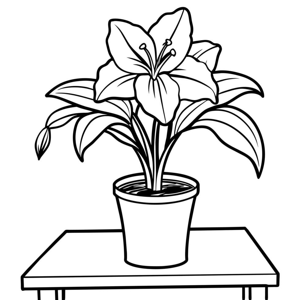 Amaryllis Flower outline illustration coloring book page design, Amaryllis Flower black and white line art drawing coloring book pages for children and adults vector