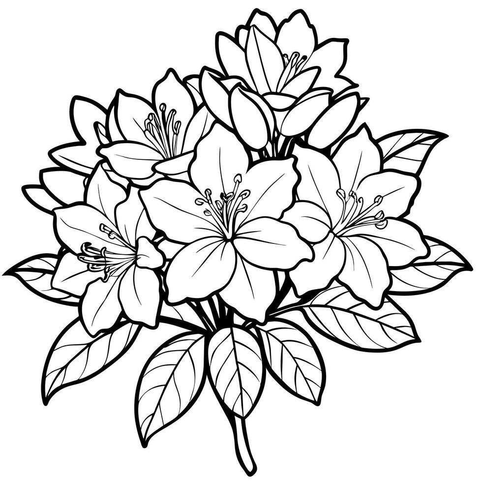 Azalea flower outline illustration coloring book page design, Azalea flower black and white line art drawing coloring book pages for children and adults vector