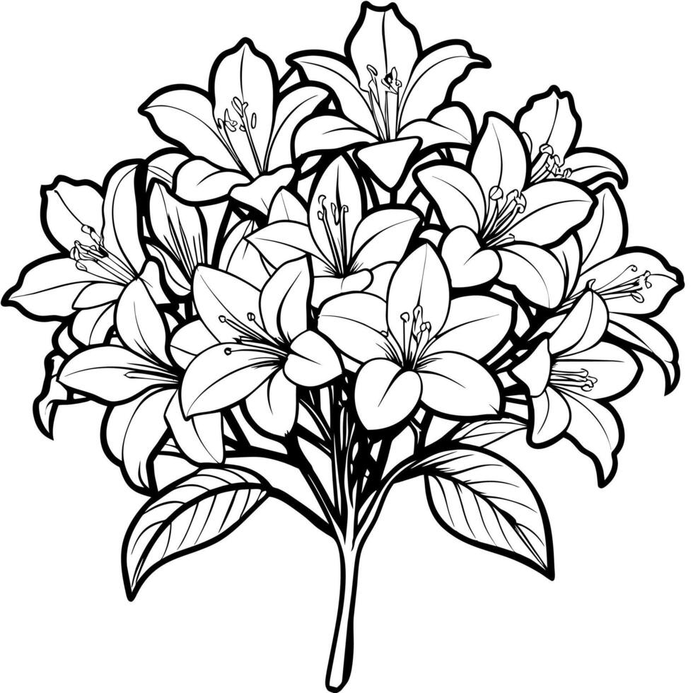 Azalea flower outline illustration coloring book page design, Azalea flower black and white line art drawing coloring book pages for children and adults vector
