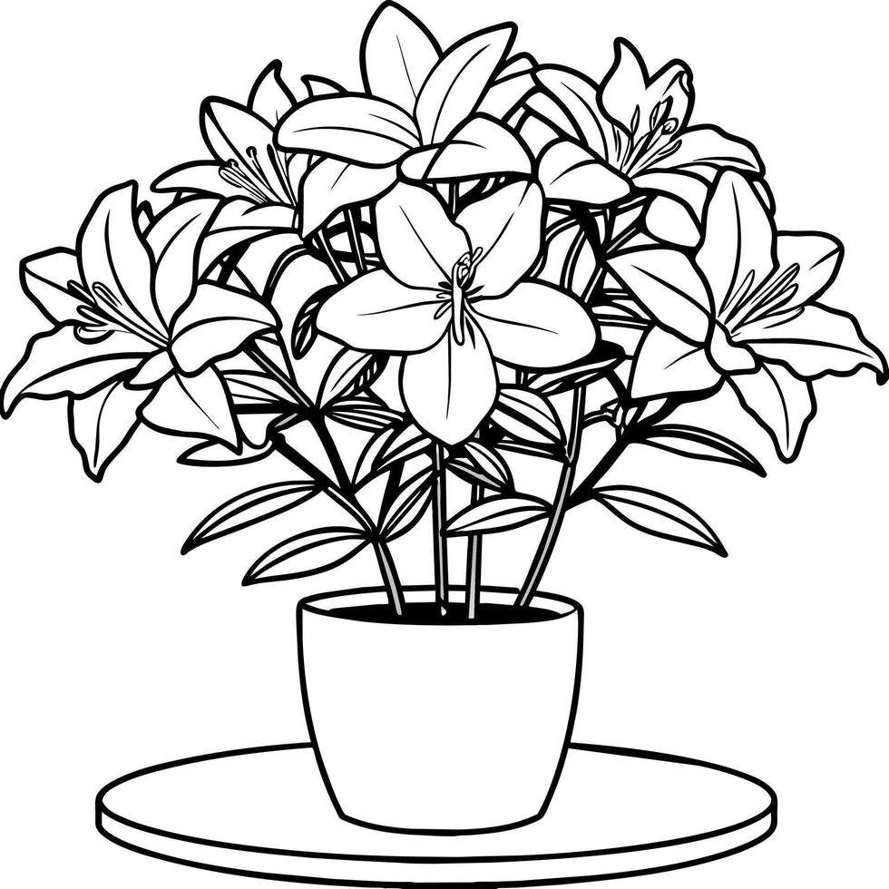 Azalea flower outline illustration coloring book page design, Azalea flower black and white line art drawing coloring book pages for children and adults vector