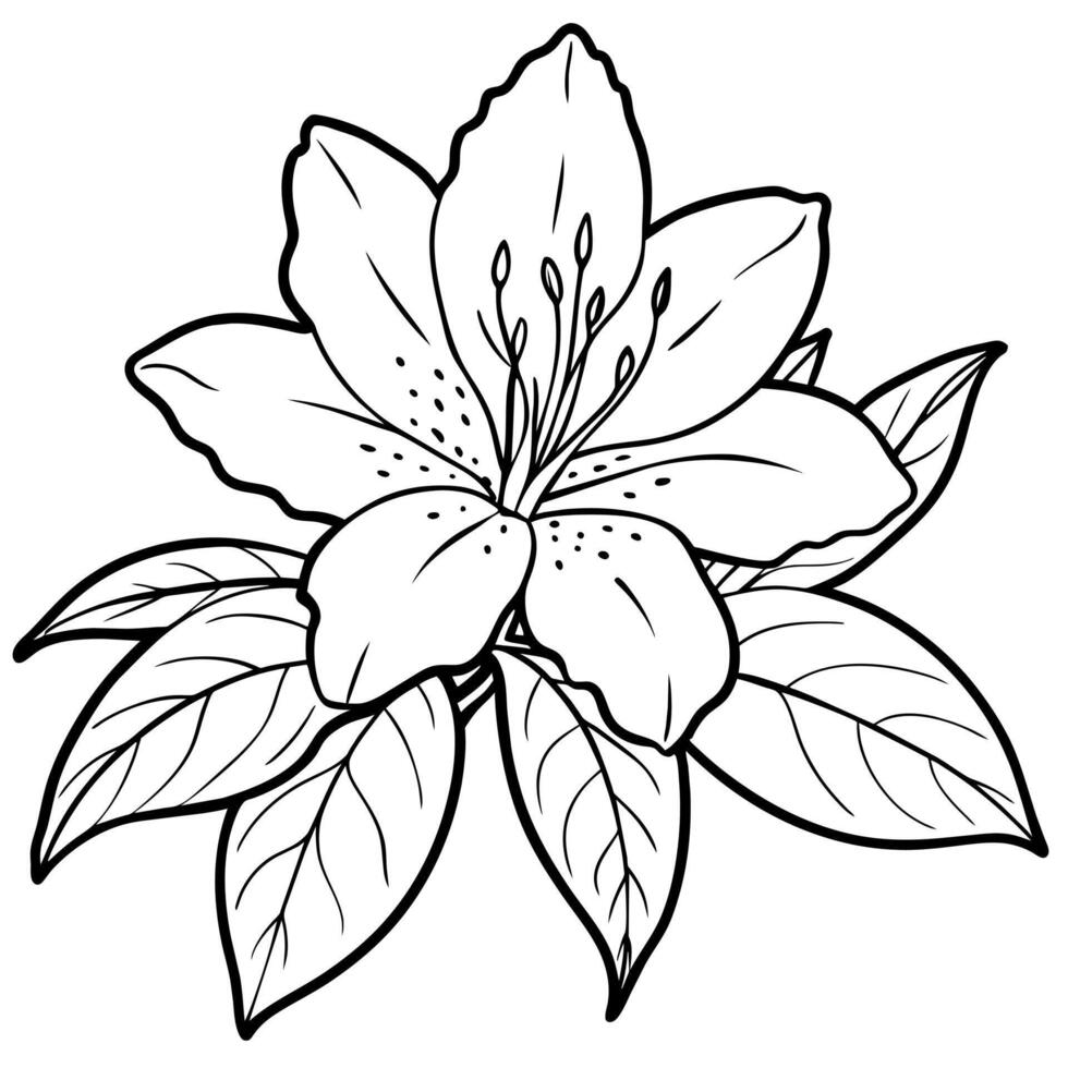Azalea flower outline illustration coloring book page design, Azalea flower black and white line art drawing coloring book pages for children and adults vector