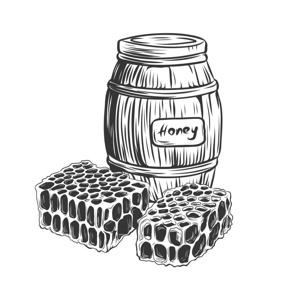 Wooden barrel with honey and honeycomb composition. Hand drawn organic food in engraving style isolated on white background. Woodcut, etching vector