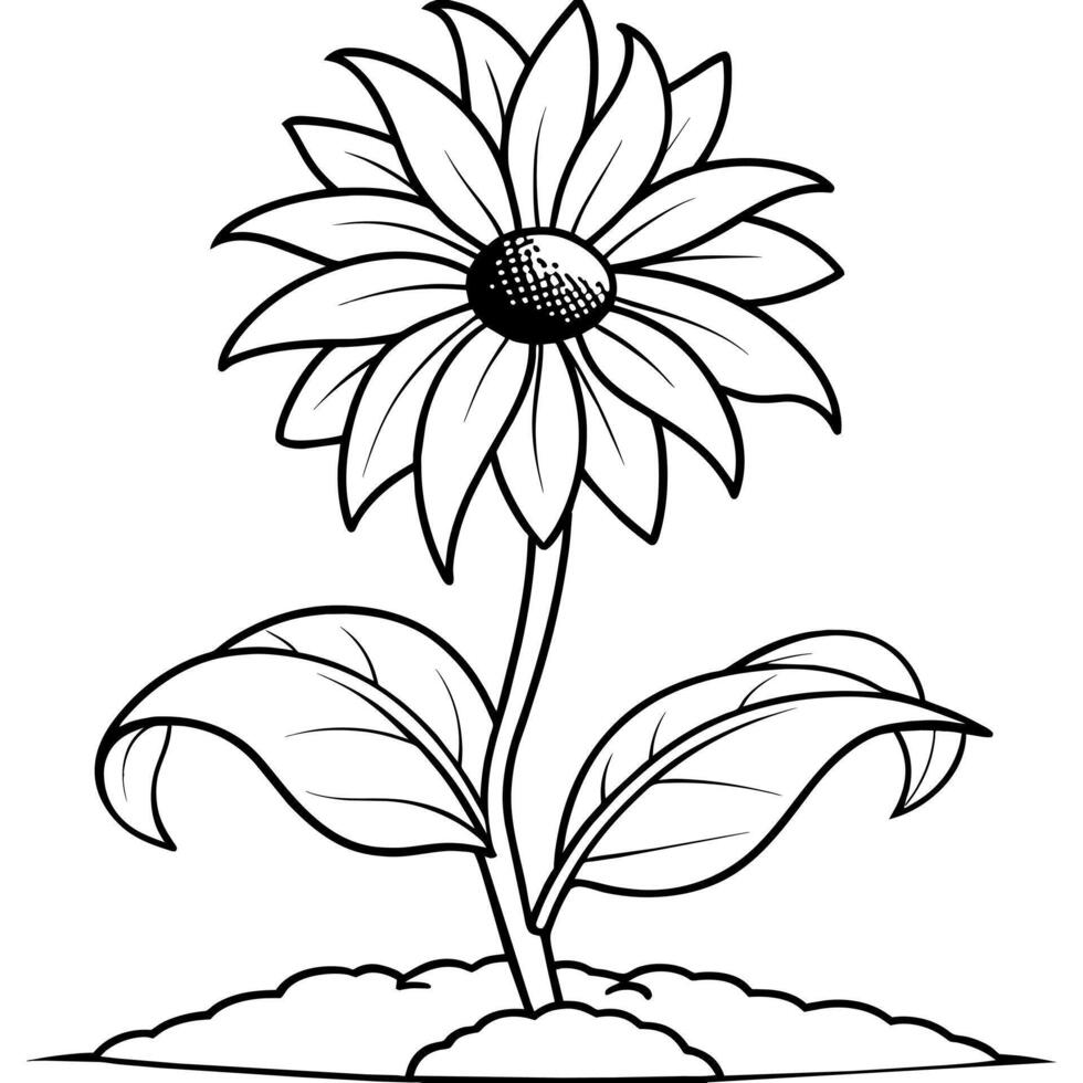 Black Eyed Susan flower outline illustration coloring book page design, Azalea flower black and white line art drawing coloring book pages for children and adults vector
