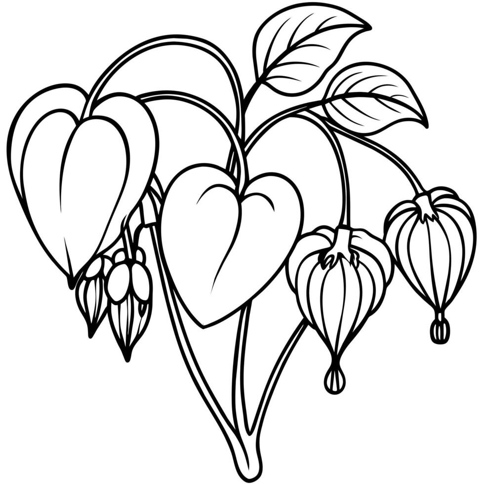 Bleeding Heart flower outline illustration coloring book page design, Bleeding Heart flower black and white line art drawing coloring book pages for children and adults vector