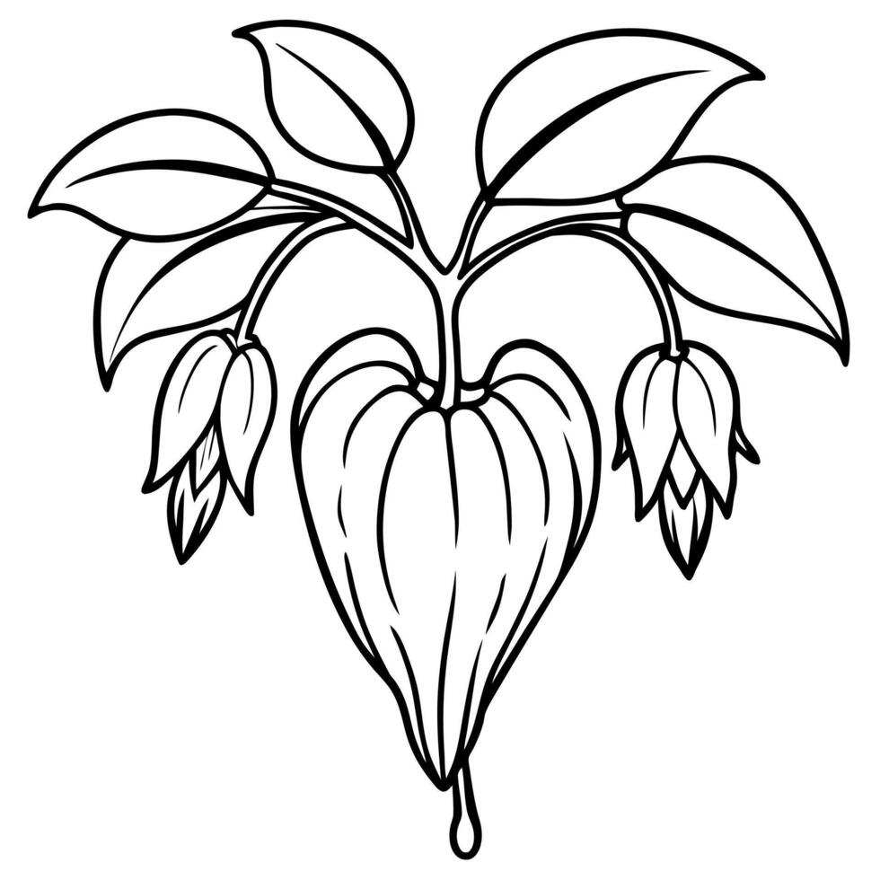 Bleeding Heart flower outline illustration coloring book page design, Bleeding Heart flower black and white line art drawing coloring book pages for children and adults vector