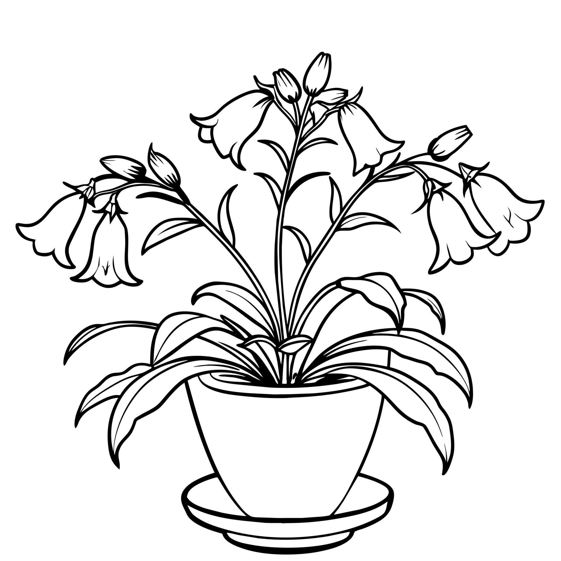 Canterbury Bells flower outline illustration coloring book page design