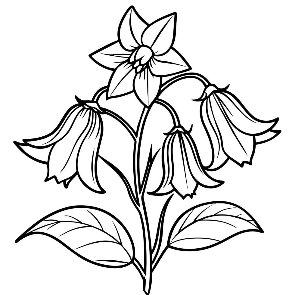 Canterbury Bells flower outline illustration coloring book page design, Canterbury Bells flower black and white line art drawing coloring book pages for children and adults vector