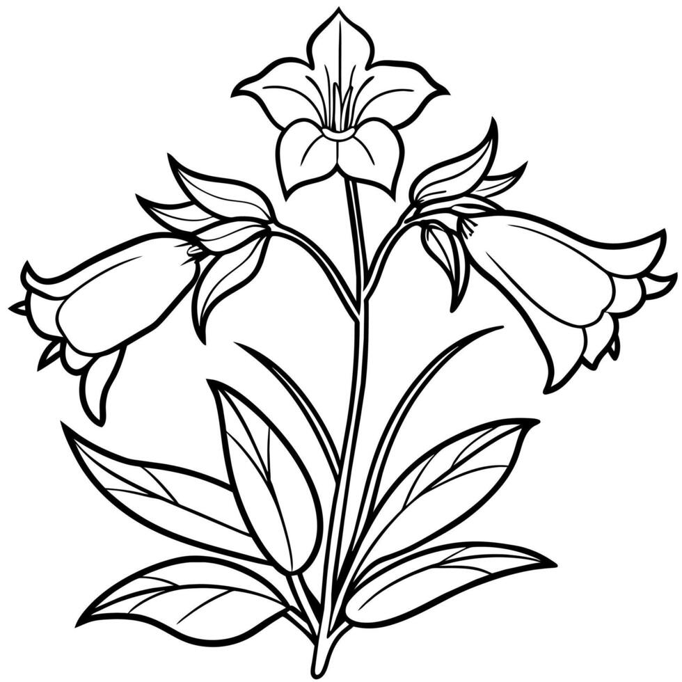 Canterbury Bells flower outline illustration coloring book page design, Canterbury Bells flower black and white line art drawing coloring book pages for children and adults vector