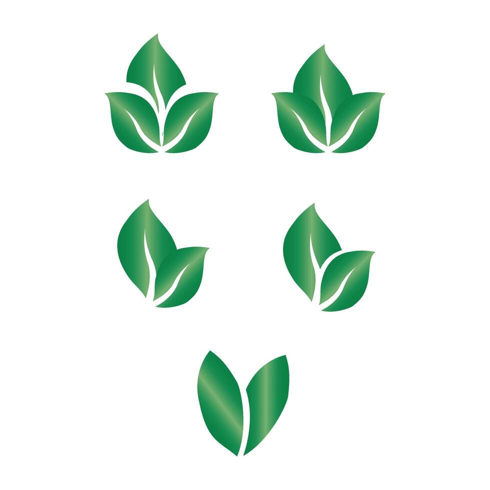 leaves icon set vector