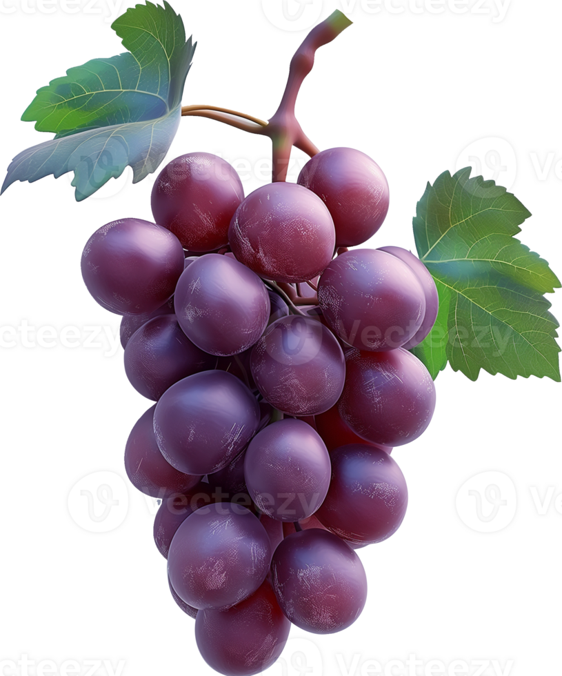 Fruits - Purple grape with leaves isolated on a transparent background png