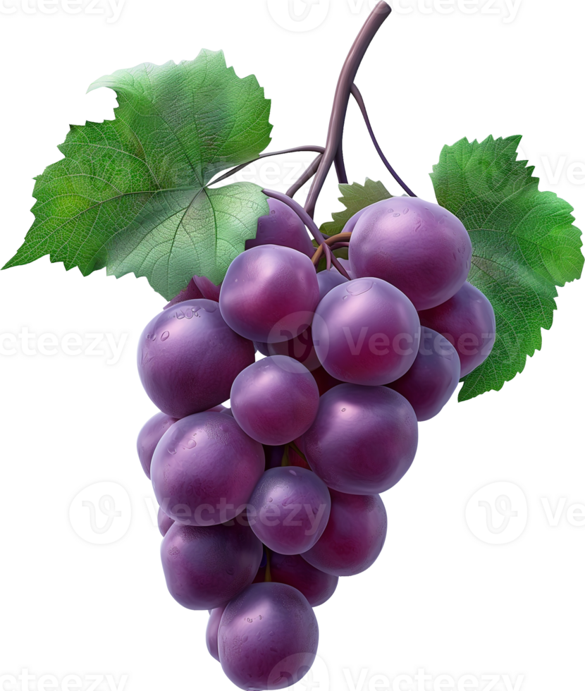 Fruits - Purple grape with leaves isolated on a transparent background png