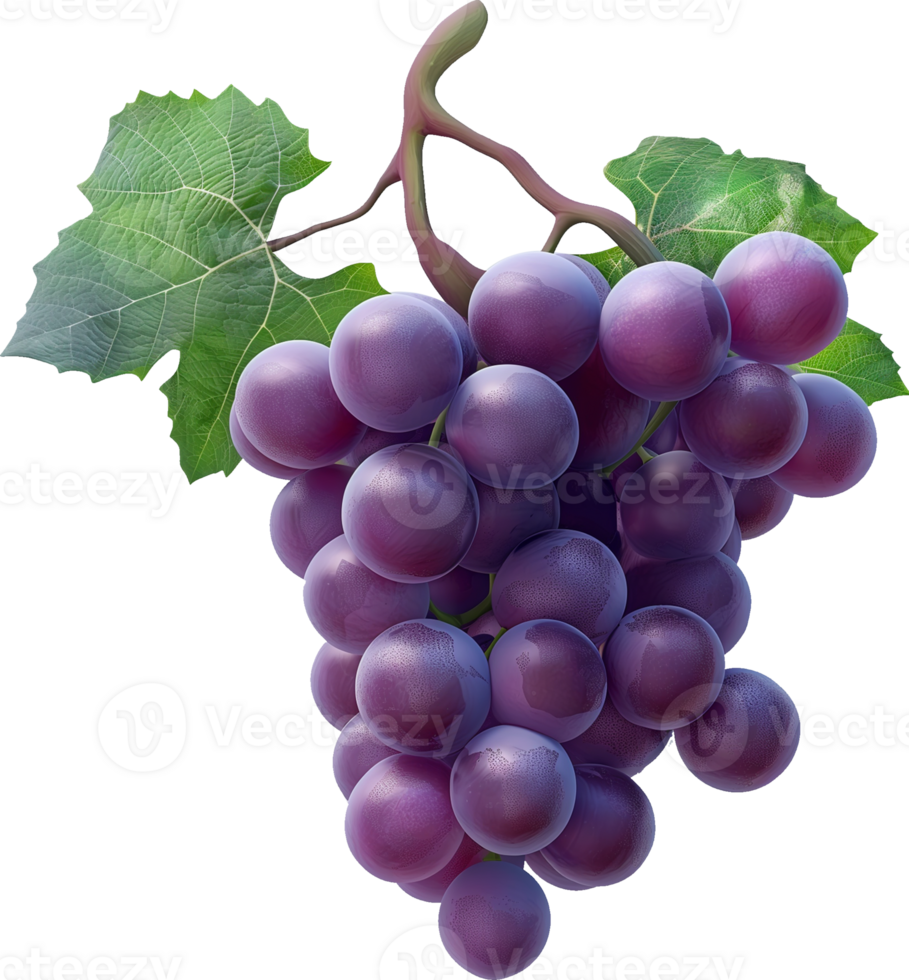 Fruits - Purple grape with leaves isolated on a transparent background png