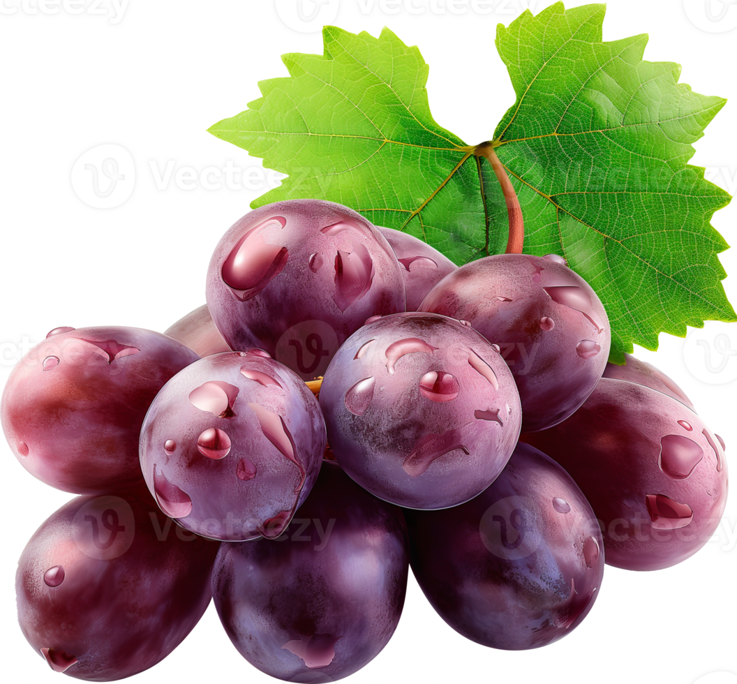 Fruits - Purple grape with leaves isolated on a transparent background png
