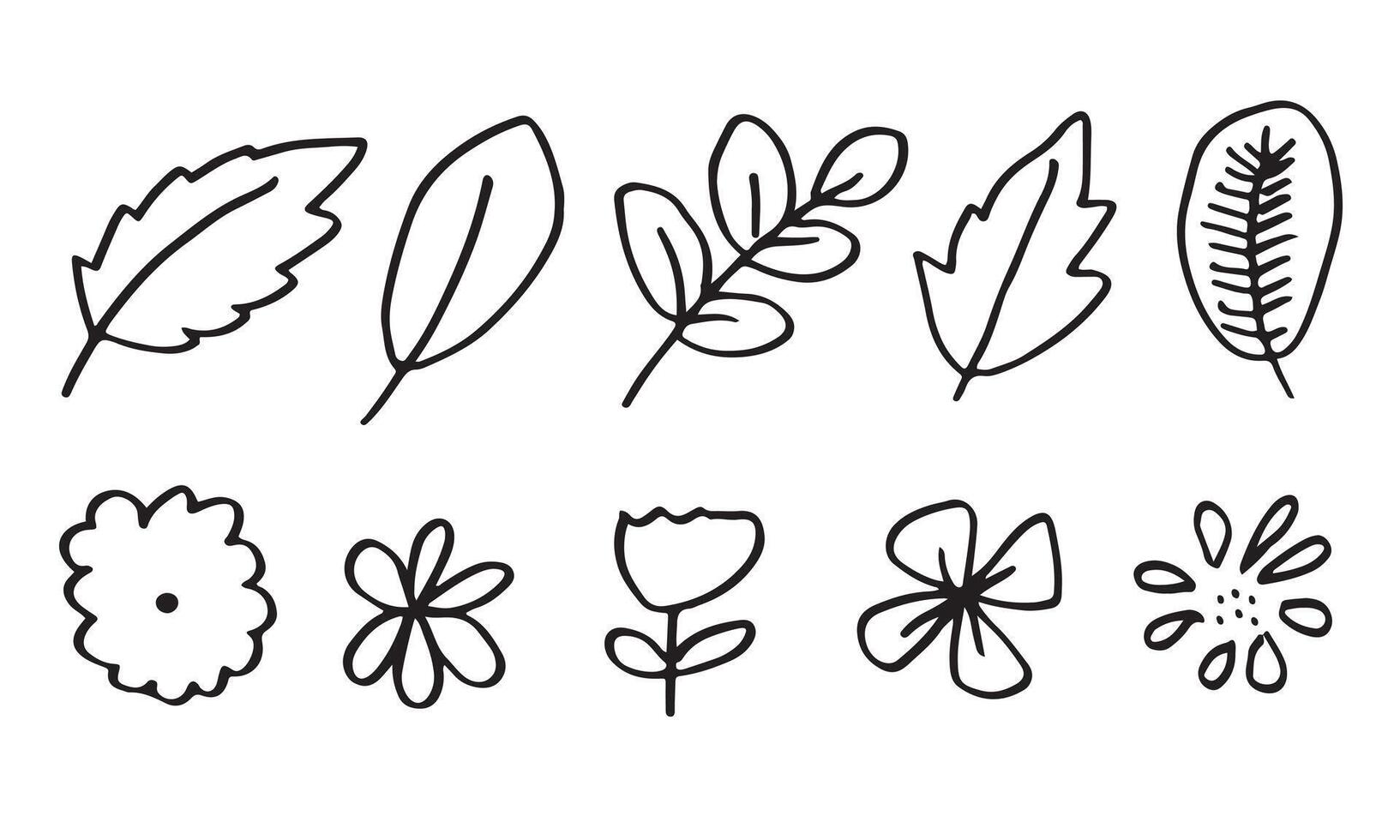 un colección de dibujado a mano flor imágenes tal como campana flor, crisantemos, girasoles, algodón flores, y tropical hojas vector