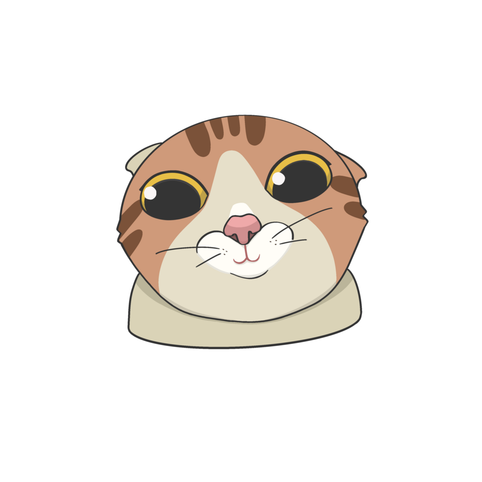 linda sonrisa gato meme pegatina camiseta ilustración png