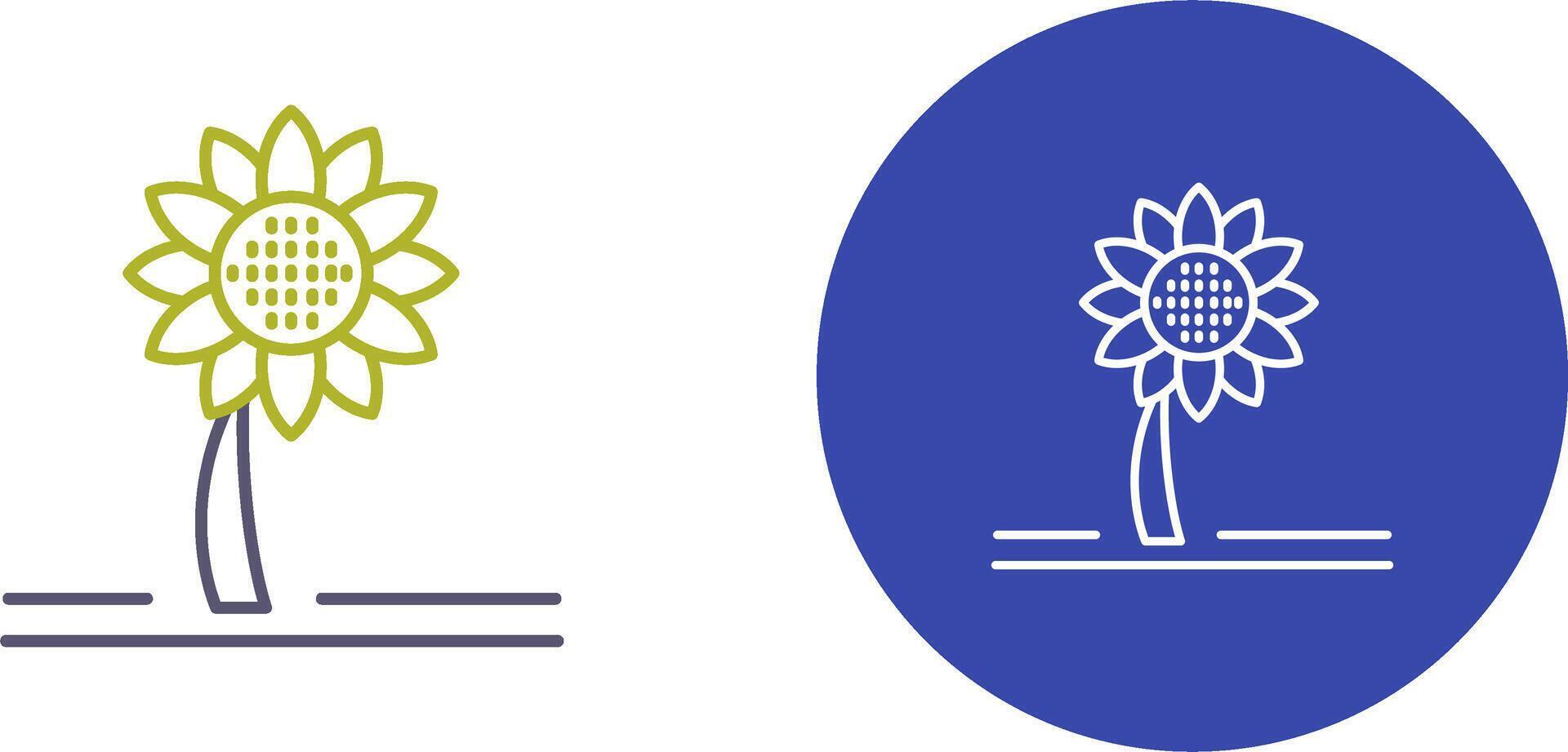 Sunflower Icon Design vector