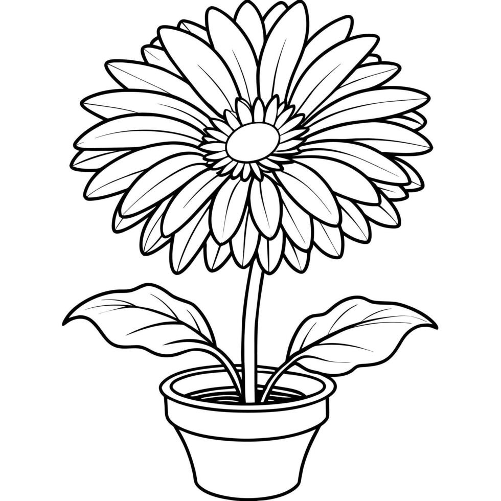 Gerbera Daisy flower outline illustration coloring book page design, Gerbera Daisy flower black and white line art drawing coloring book pages for children and adults vector
