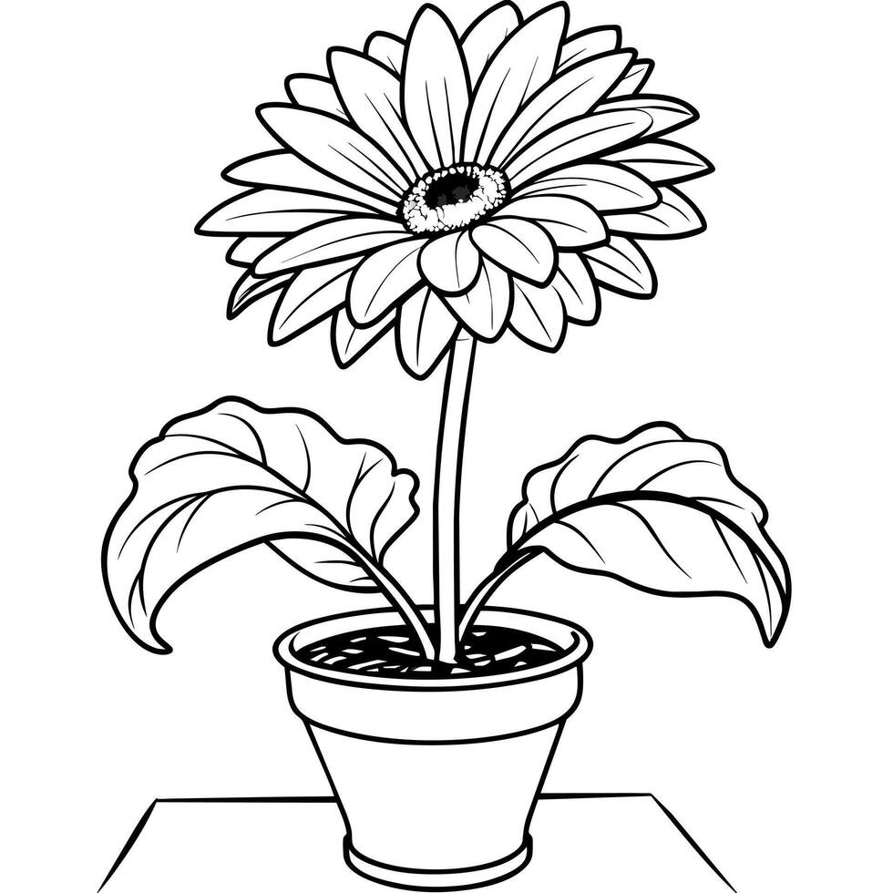 Gerbera Daisy flower outline illustration coloring book page design, Gerbera Daisy flower black and white line art drawing coloring book pages for children and adults vector