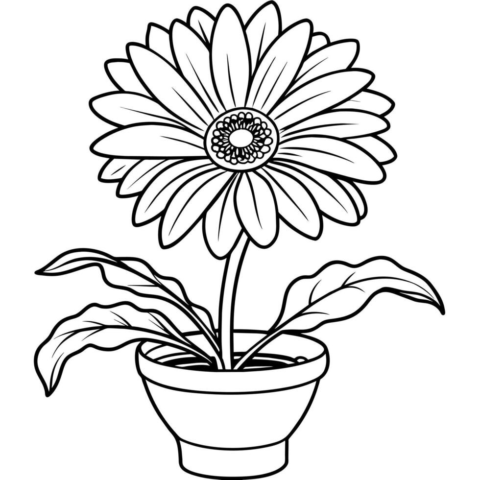 Gerbera Daisy flower outline illustration coloring book page design, Gerbera Daisy flower black and white line art drawing coloring book pages for children and adults vector