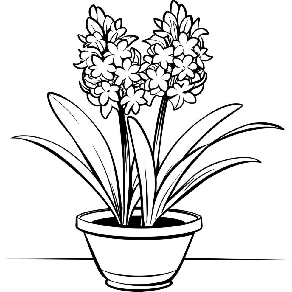 Hyacinth flower outline illustration coloring book page design, Hyacinth flower black and white line art drawing coloring book pages for children and adults vector