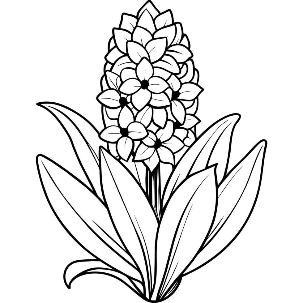 Hyacinth flower outline illustration coloring book page design, Hyacinth flower black and white line art drawing coloring book pages for children and adults vector