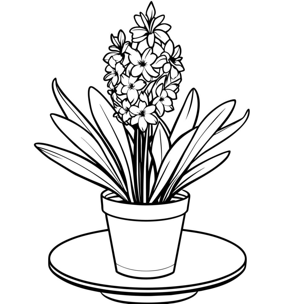 Hyacinth flower outline illustration coloring book page design, Hyacinth flower black and white line art drawing coloring book pages for children and adults vector