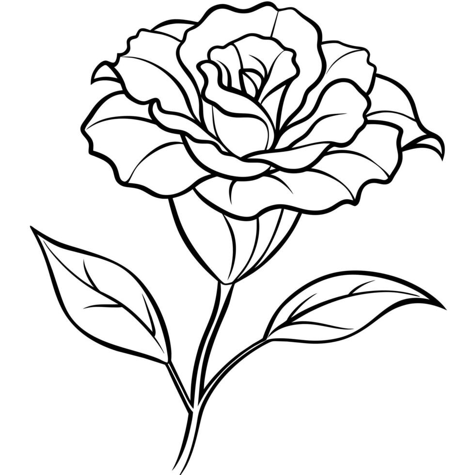 Lisianthus flower outline illustration coloring book page design, Lisianthus flower black and white line art drawing coloring book pages for children and adults vector