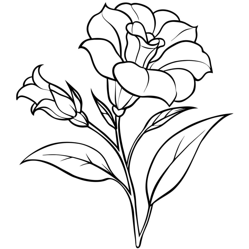 lisianthus flor contorno ilustración colorante libro página diseño, lisianthus flor negro y blanco línea Arte dibujo colorante libro paginas para niños y adultos vector