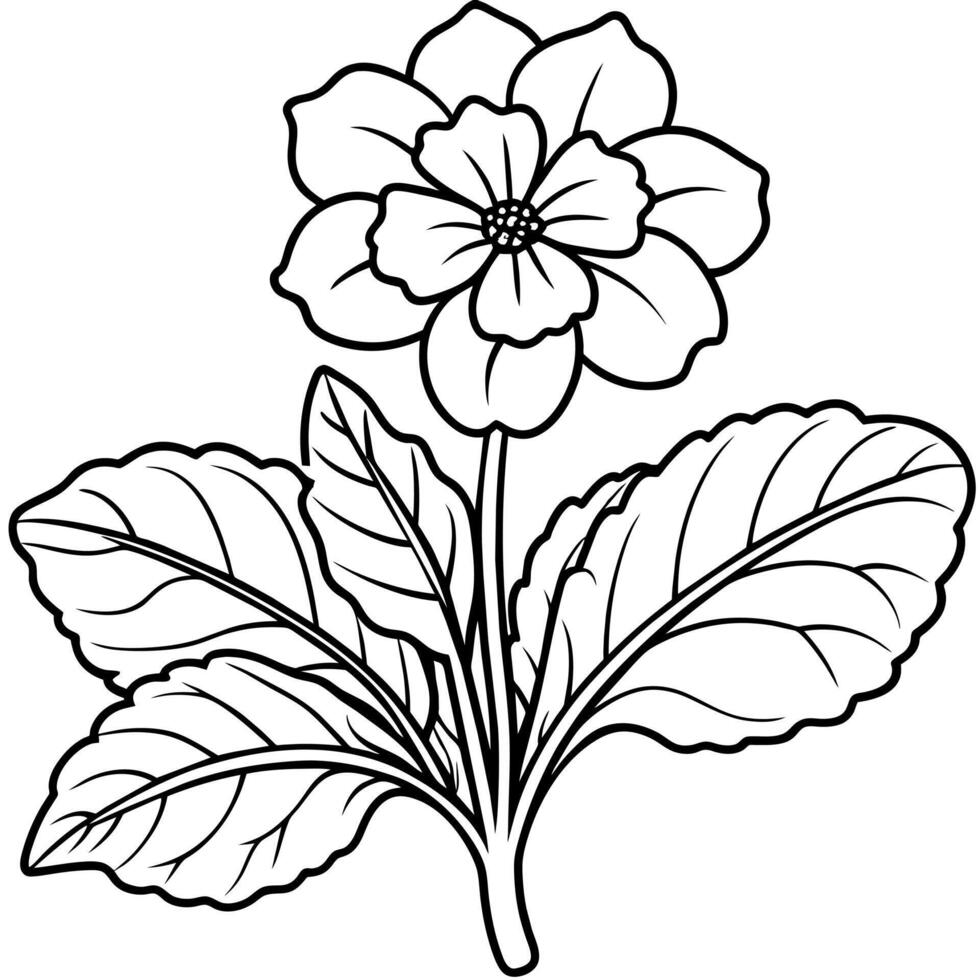 Primrose flower outline illustration coloring book page design vector