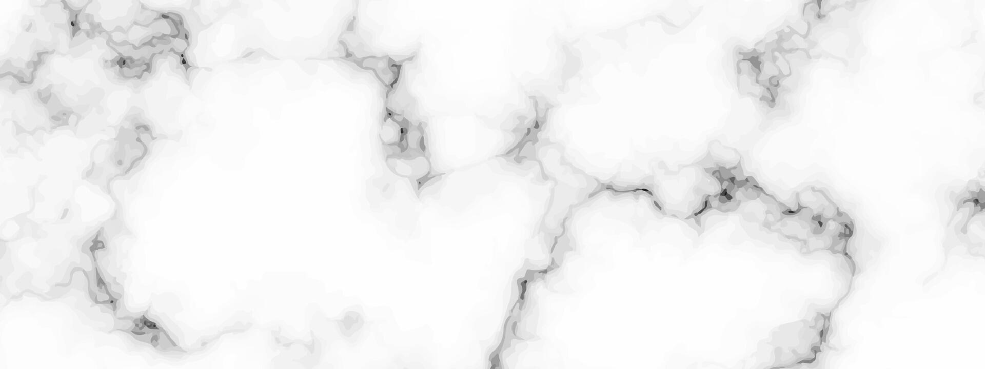 White marble texture background vector