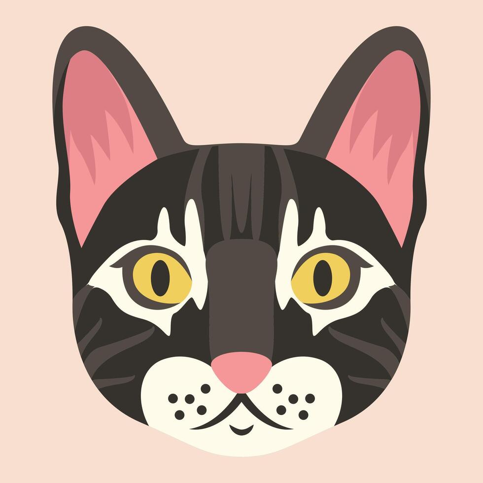 3D Cat Colorful Design Backgroud Shadow Box vector