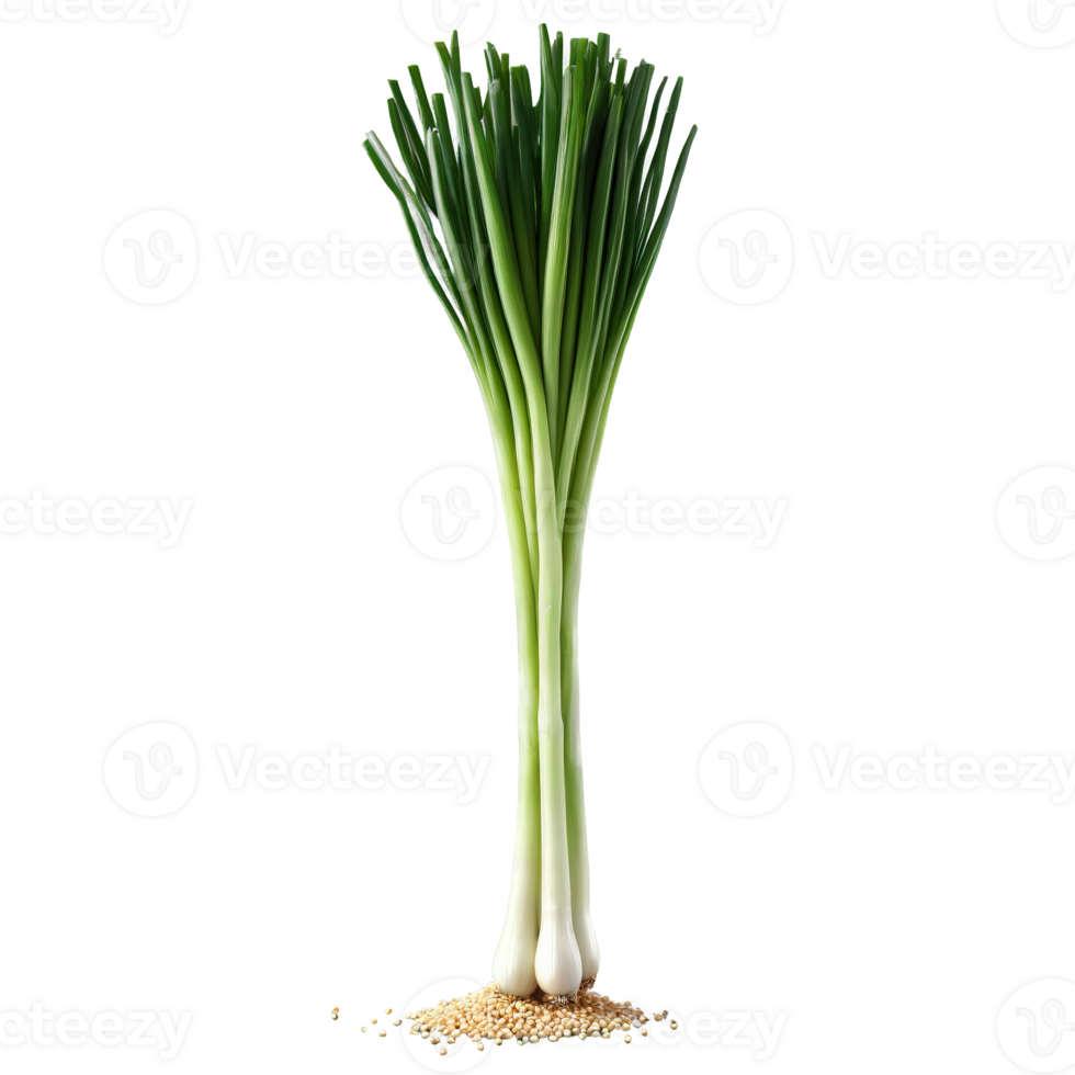 Green onions long slender white and green stalks chopped falling scattering sesame seeds drifting Food png