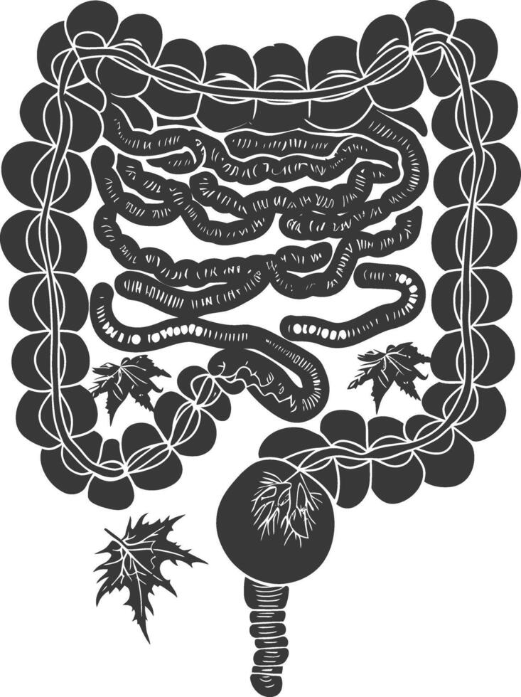 Silhouette human intestine black color only vector