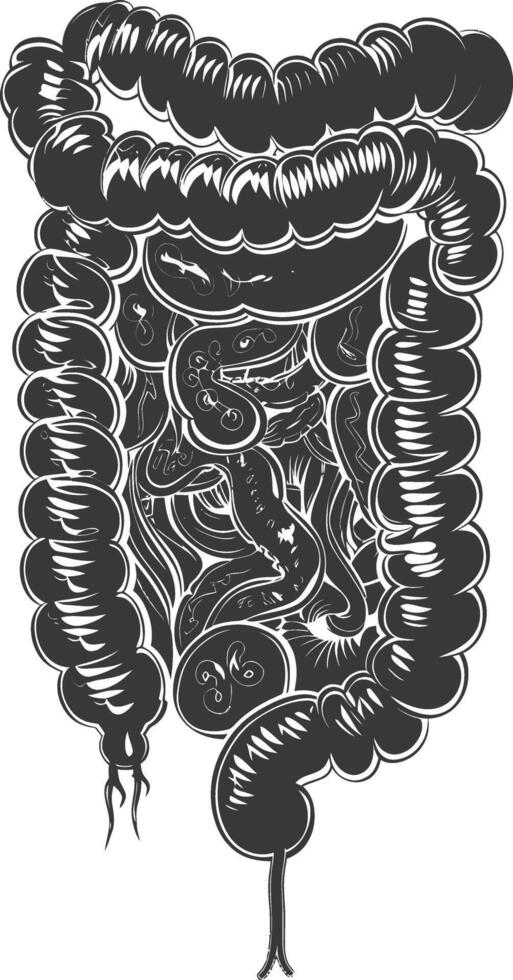 Silhouette human intestine black color only vector