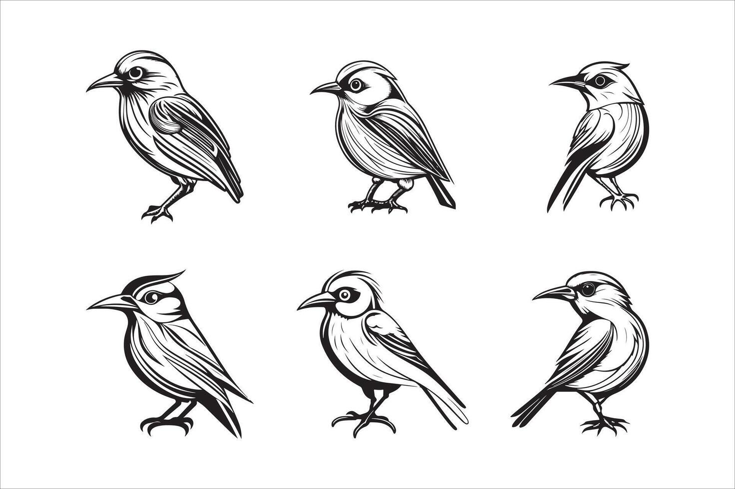 Cute bird illustration black and white cartoon character design collection. White background. Pets, Animals. vector